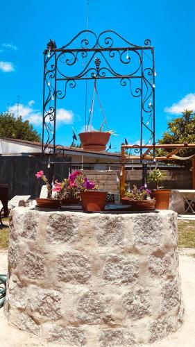 a group of potted plants on top of a stone wall at La Perla in Nueva Helvecia