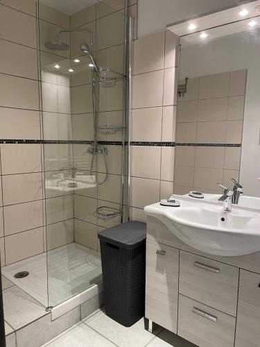 une salle de bain avec un lavabo et une douche dans l'établissement Appartement la Cayolle, à Barcelonnette