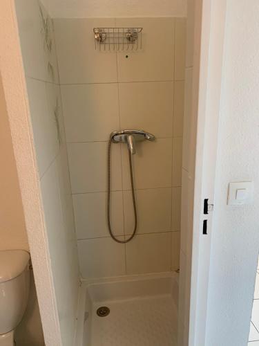 une salle de bain avec une douche avec des toilettes et un lavabo dans l'établissement Studio Carnon plage face au port, à Mauguio