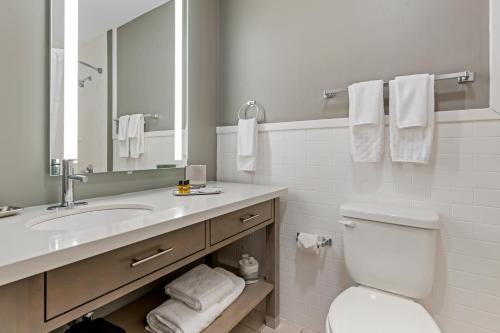 a bathroom with a sink and a toilet and a mirror at Best Western Plus Waterloo & Cedar Falls in Waterloo