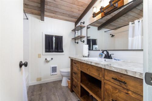 a bathroom with a sink and a toilet at Glacier Peak Getaway | Wifi, Fireplace, Lower Timb in Packwood
