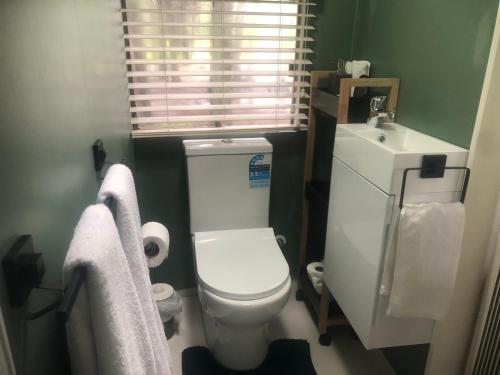 a small bathroom with a toilet and a sink at Fiery Peak Glampsite with Stargazing & Hot Tub in Geraldine