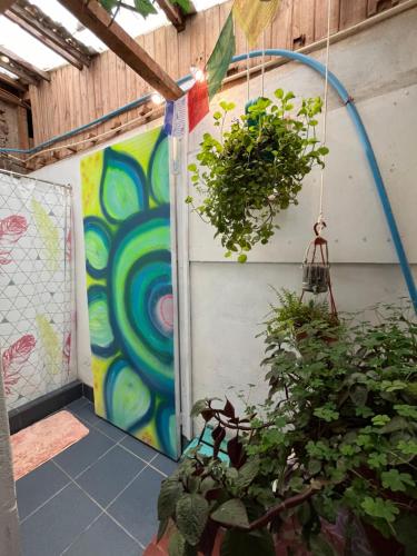 a greenhouse with a plant and a hose at SURFHOUSE Pichilemu in Pichilemu
