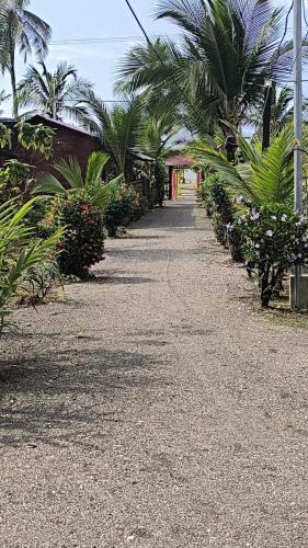 Um jardim em Cabañas Iracas del Mar