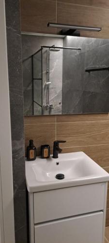a bathroom with a white sink and a mirror at Loft bianco nero in Tríkala