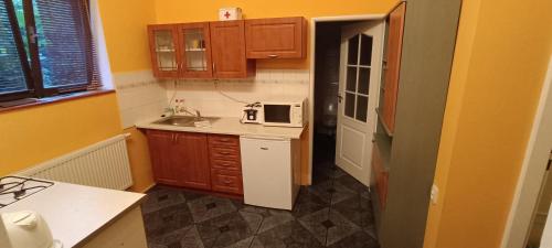 a small kitchen with a sink and a microwave at Apartmán Horní Slavkov Hodinářství in Horní Slavkov