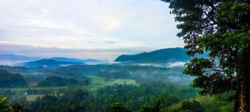 a misty valley in the mountains with trees at Dew Drops Nature Villa in Parakaduwa