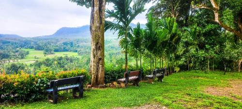 a row of benches sitting on a hill with a view at Dew Drops Nature Villa in Parakaduwa