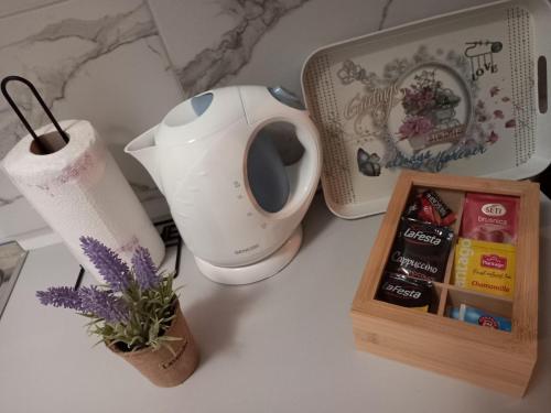 Παροχές για τσάι/καφέ στο Apartman Mijate