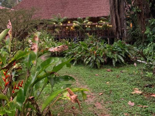 a garden with a fence with lights on it at Tambopata Research Center in Tambopata