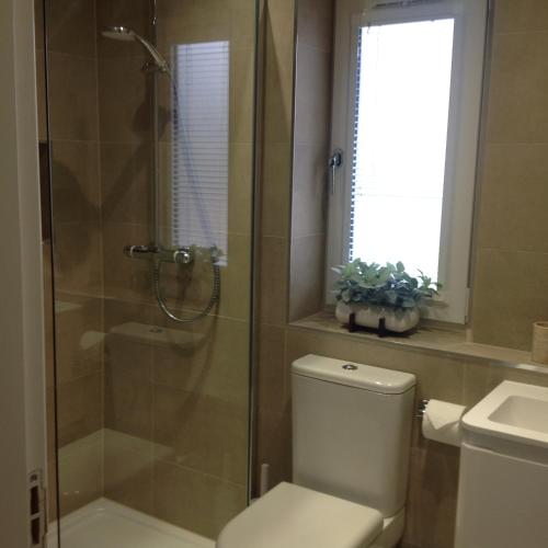 a bathroom with a shower and a toilet and a sink at Lovely Riverside Holiday Home in Callander