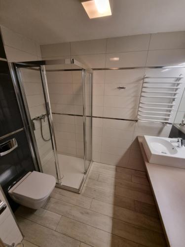 Bilik mandi di Apartament Czarna Góra