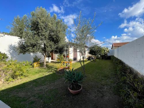 a yard with trees and chairs and a fence at Le Case Al Quadrato Residence in Siracusa