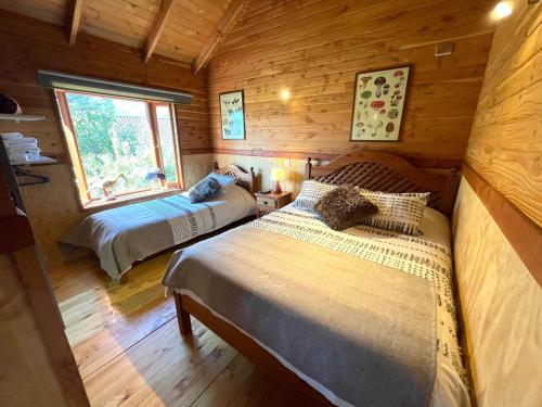 a bedroom with two beds in a log cabin at Hostal Pucon Sur in Pucón