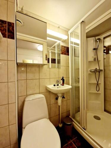 a bathroom with a toilet and a sink and a shower at Cozy condo near Bryggen Full kitchen Elevator in Bergen