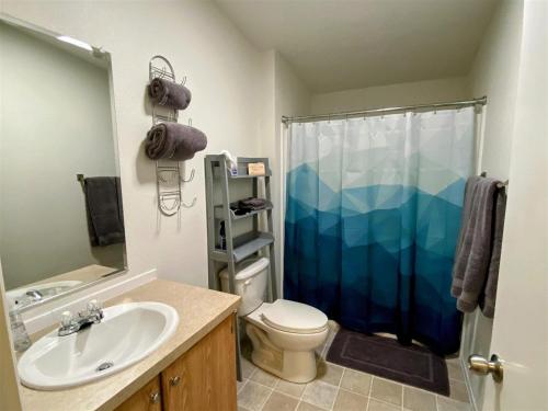 a bathroom with a sink and a toilet and a shower at Little Woods Outpost in Packwood