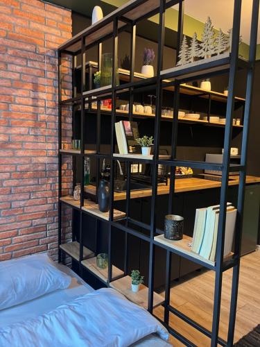 una habitación con una estantería con libros en Mickitos Cozy Studio Two, en Mavrovo