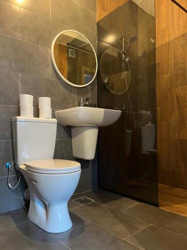 a bathroom with a toilet and a sink and a mirror at Mickitos Cozy Studio Two in Mavrovo