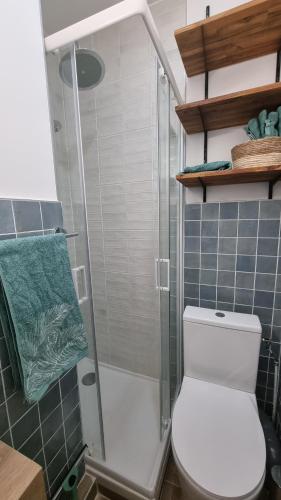 une salle de bain avec une douche avec des toilettes et un lavabo dans l'établissement Studio bleu pleyel, à Saint-Denis