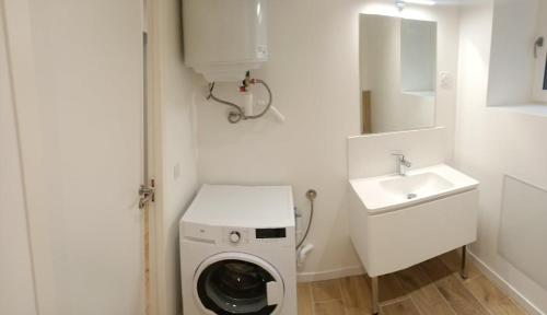 une petite salle de bains avec un lave-linge et un lavabo dans l'établissement Le Nid Urbain, à Villefranche-sur-Saône