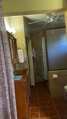 a bathroom with a shower and a sink and a toilet at El Remanso de paz y tranquilidad in San Pablo Nuevo Abajo