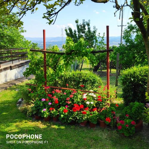 a garden of flowers in a park at Harmonija - Jasenica in Valjevo