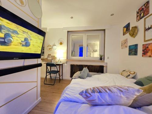 Nid Cosy et Sauna Privé & Proche Centre Strasbourg & Kehl