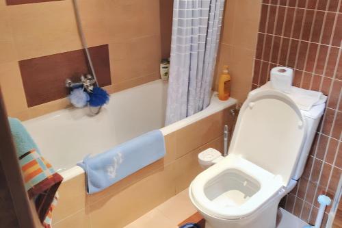 a small bathroom with a toilet and a shower at Sea View Apartment in Hammamet with Shared Pool in Hammamet