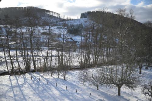 a snow covered field with trees and a hill at Hotel Kaiserhof in Medebach