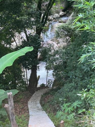 a path next to a river with a tree at Recanto da Cachoeira RJ in Magé