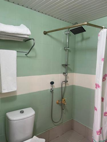 a bathroom with a shower and a toilet at Best Life Apart Hotel in Alanya