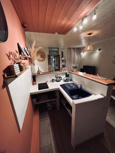 une cuisine avec un évier et un comptoir dans l'établissement Appartement cévenol chaleureux, à La GrandʼCombe
