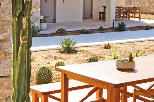 a garden with a table and chairs and a cactus at Agave Donousa Suites in Donoussa