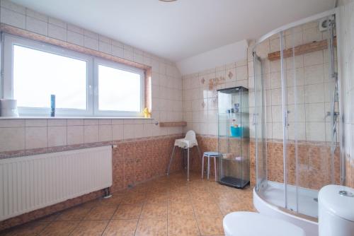 a bathroom with a shower and a sink and a toilet at Studio I Pokoje I Pokoje z łazienkami in Gdańsk