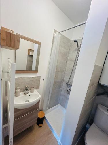 une salle de bain avec douche et lavabo dans l'établissement Appartement charmant proche Gare, à Tours