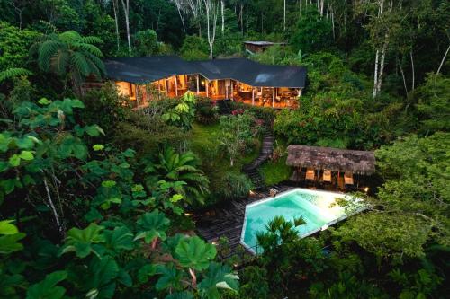 プエルト・ミサウアリにあるHamadryade Lodgeのスイミングプール付きの家屋の上面の景色
