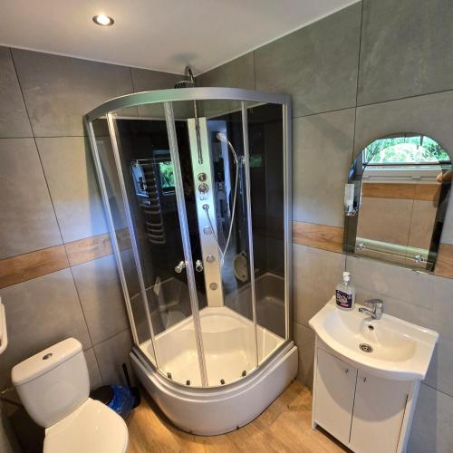 a bathroom with a shower and a toilet and a sink at Borówkowa Agroturystyka Nad Morzem in Darłowo