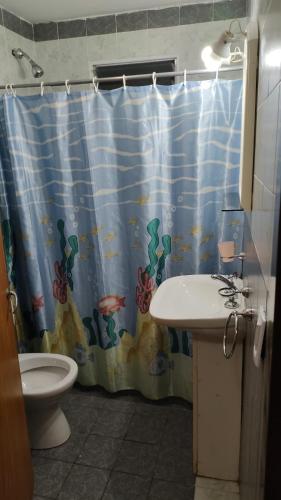a bathroom with a shower curtain with a toilet and a sink at XayEm Apart in Villa Carlos Paz