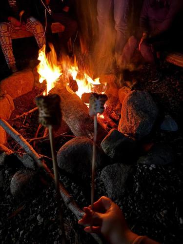 a person is standing next to a fire at The Frailejon Mountain in Sigchos