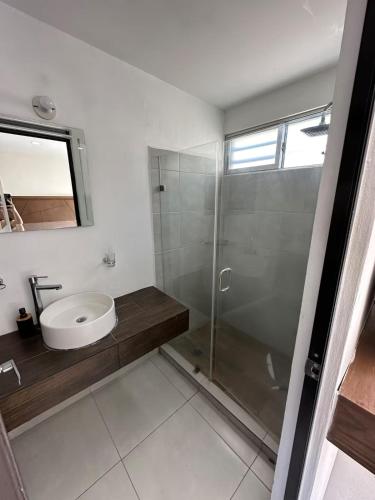 a bathroom with a shower and a sink at Departamento De Lujo Fracc Element in San Agustín