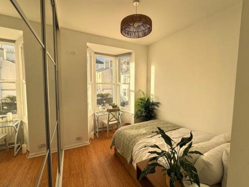 a bedroom with a bed and a potted plant in it at Central Brighton 2 Bed House in Brighton & Hove