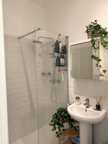 a bathroom with a shower with a sink and a shower at Central Brighton 2 Bed House in Brighton & Hove