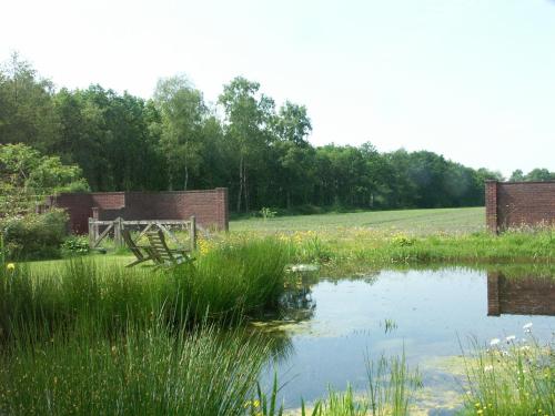 a picnic table in a field next to a pond at Selatuinen in Appelscha