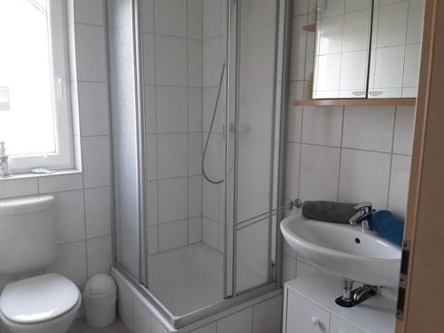 a bathroom with a shower and a toilet and a sink at Bolliger Modern Retreat in Groß Schwansee
