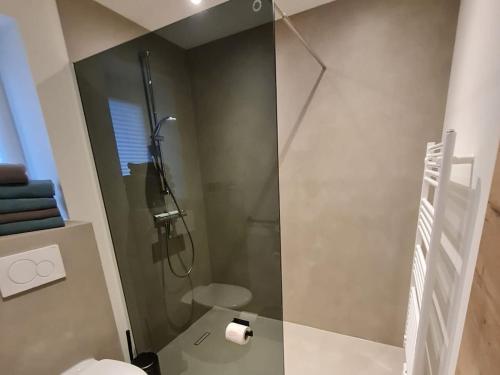 a bathroom with a glass shower with a toilet at Holiday home Stieglund in Jörl