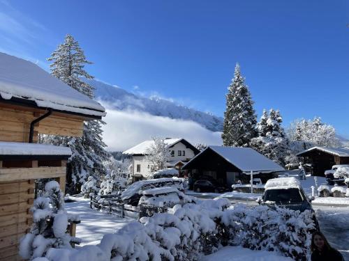 a snow covered village with a mountain in the background at Holzchalet Tauplitz in Tauplitz