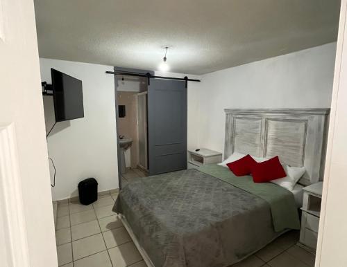a bedroom with a large bed with red pillows at 9 VENATOR House Boutique in Miravalle