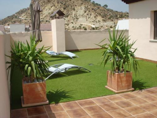 twee potplanten in manden op een erf bij Archybal Apartamentos Turísticos y Suites in Archena