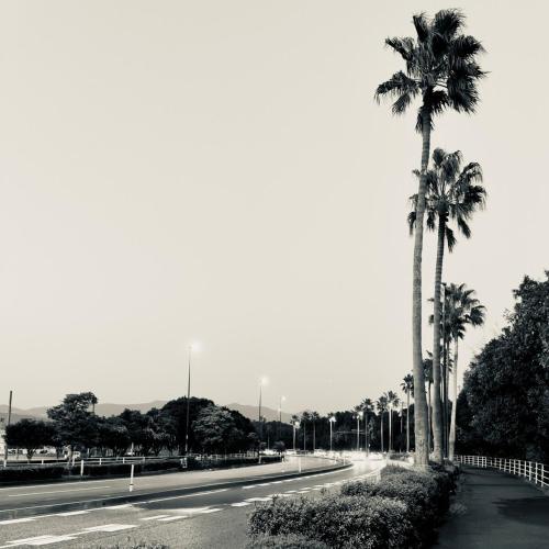 a black and white photo of a street with palm trees at Shiki Villa Beppu in Beppu