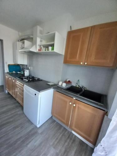 Elle comprend une petite cuisine avec des placards en bois et un évier. dans l'établissement Appartement T5 pouvant accueillir 8 personnes, à Colomiers